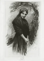 Colomba, illustration de 